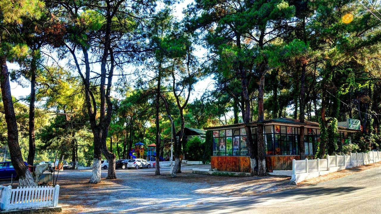 Ç İ Ç E K L İ K Ö Y Y