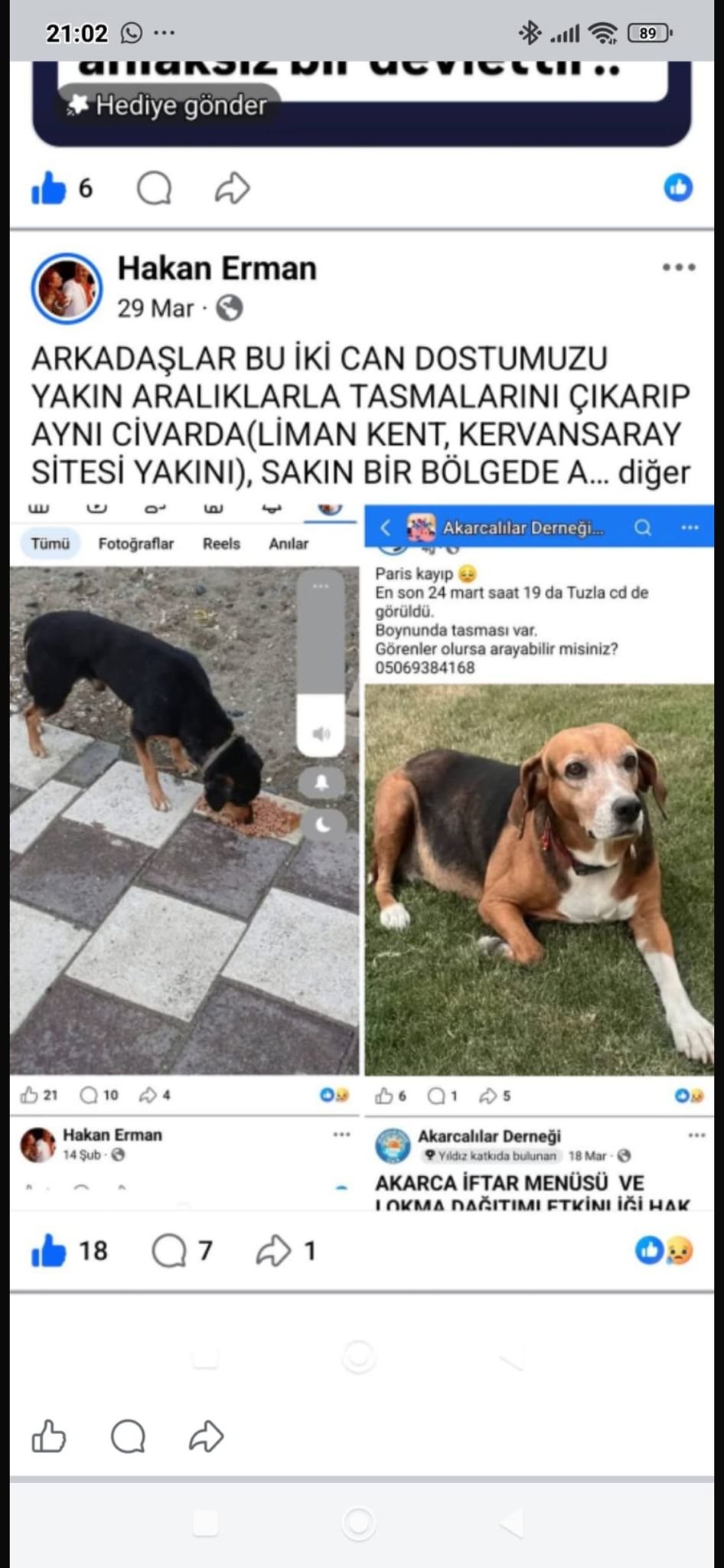 Seferihisar’da esrarengiz kayıplar: Çipli köpekler ortadan kayboldu!