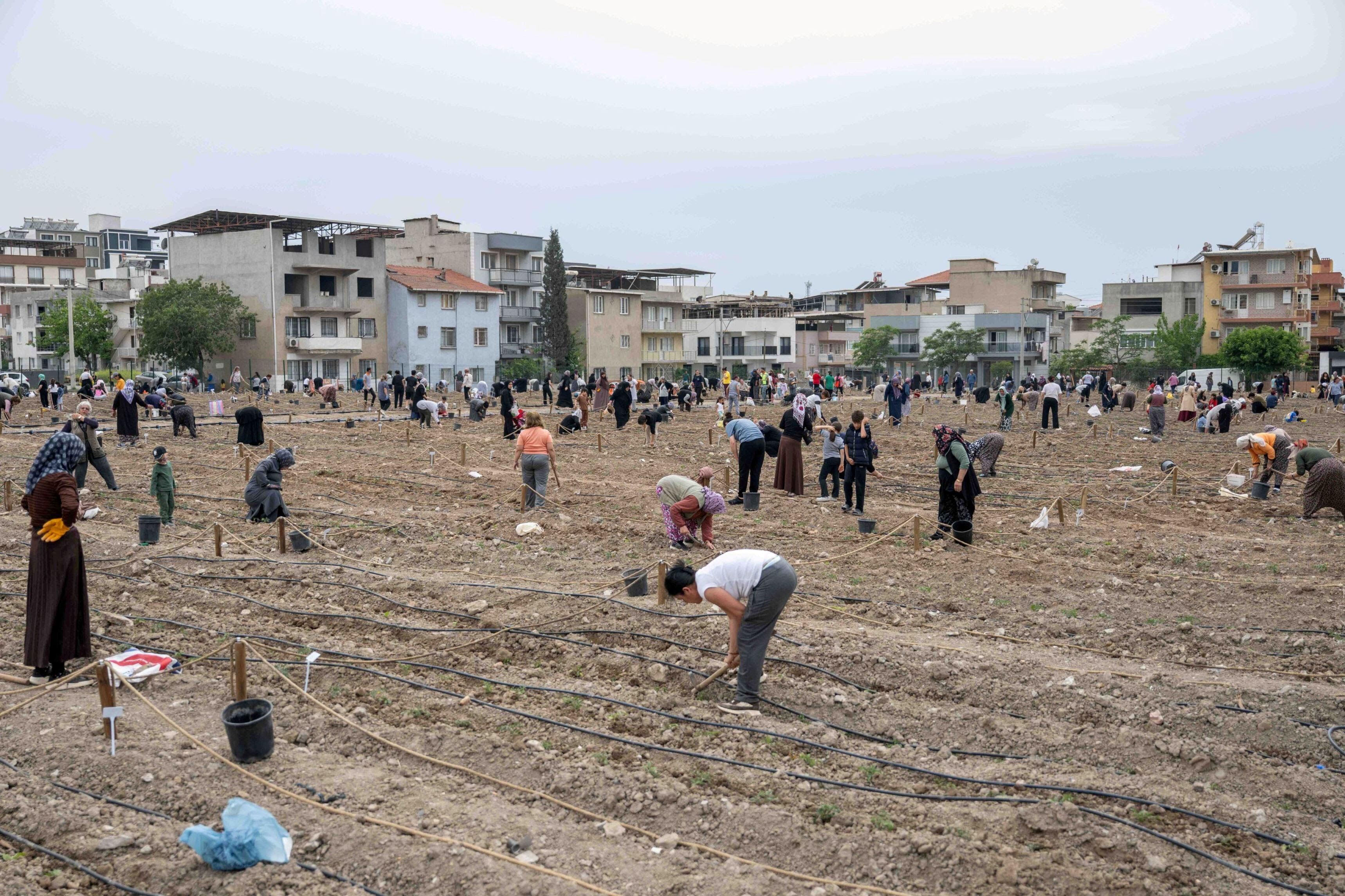 Bornova uluslararası konukları ağırladı: Kent Bostanları örnek bir model!
