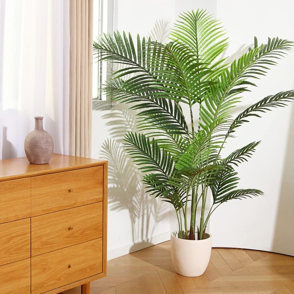 Areka Palmi̇yesi̇