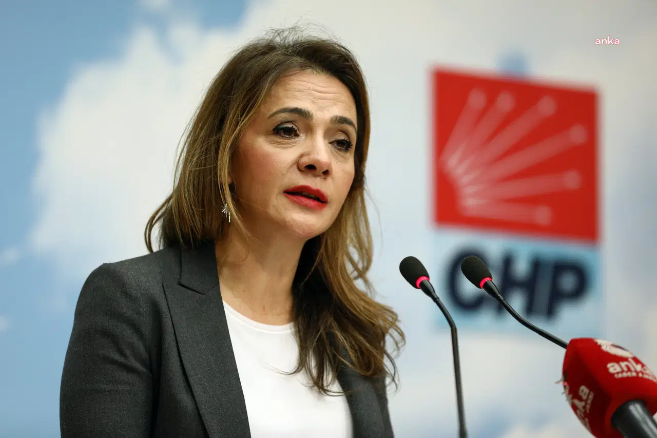 Chp’den Yoksulluk Eleştirisi Ekonomik Koşullar 3 Çocuk Söylemiyle Uyuşmuyor