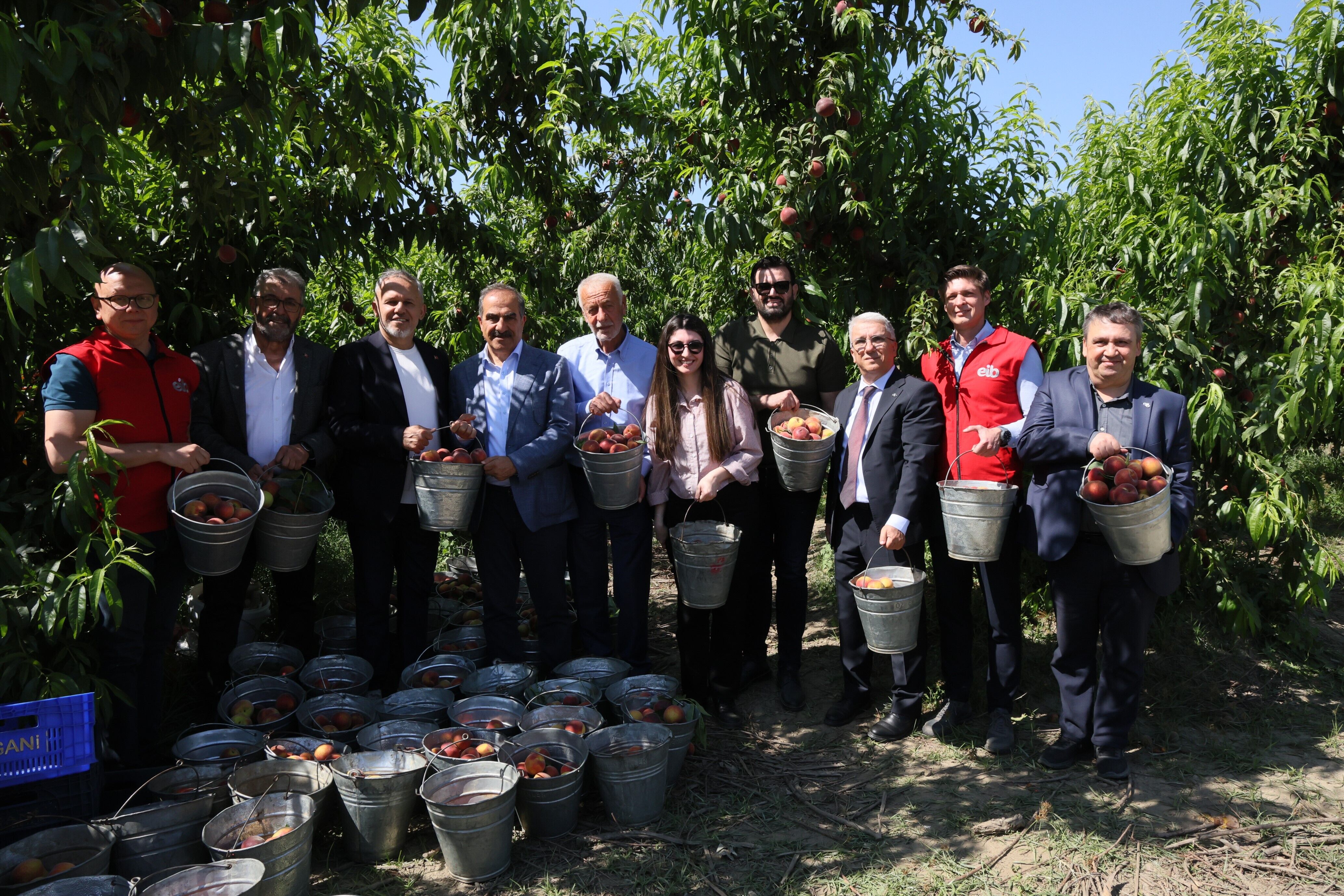 Şeftali ve nektarin ihracatında hedef 250 milyon dolar-1