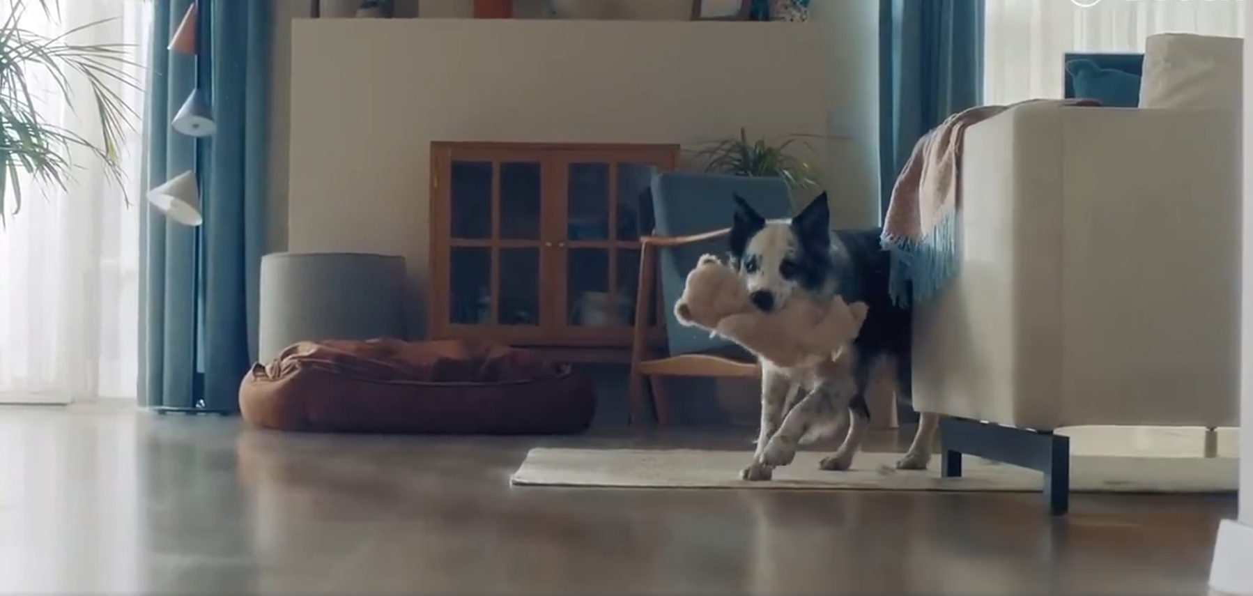 Reklam