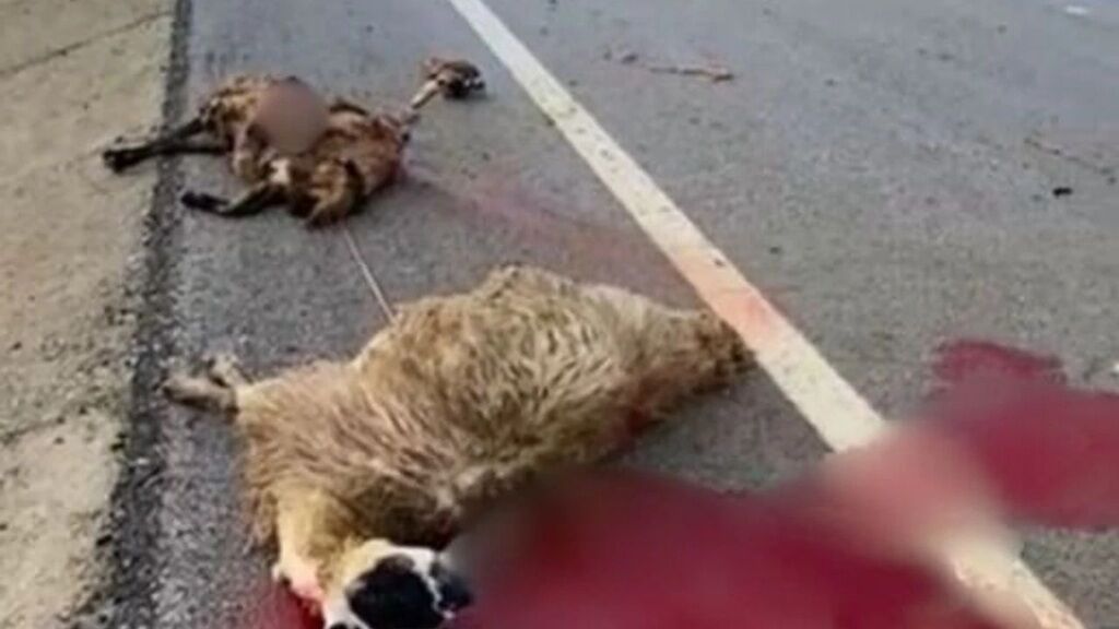 CHP’li Tanal Şanlıurfa’daki yol sorununa dikkat çekti: Bir an önce çözülmeli!