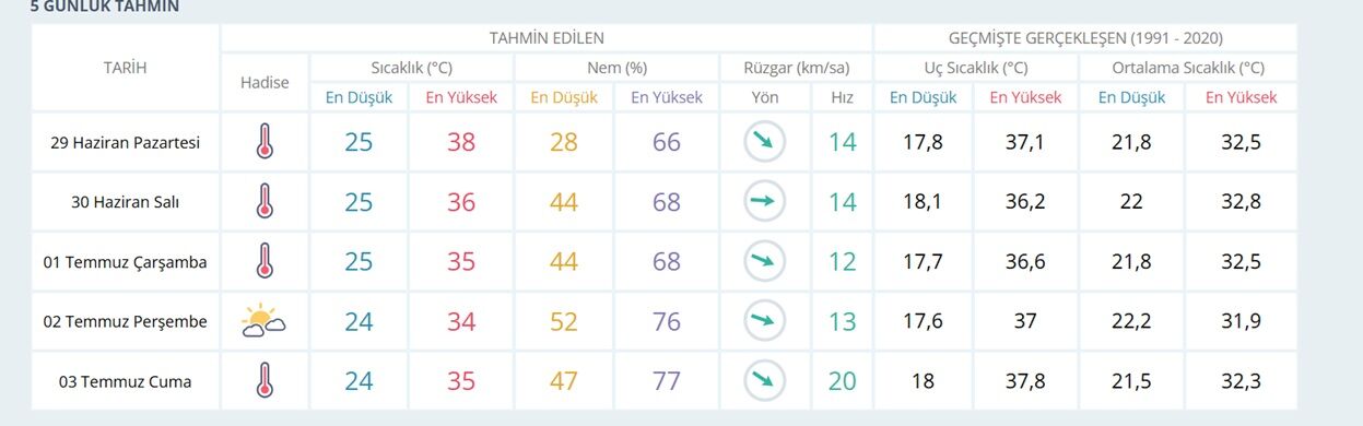 5 Gülünn