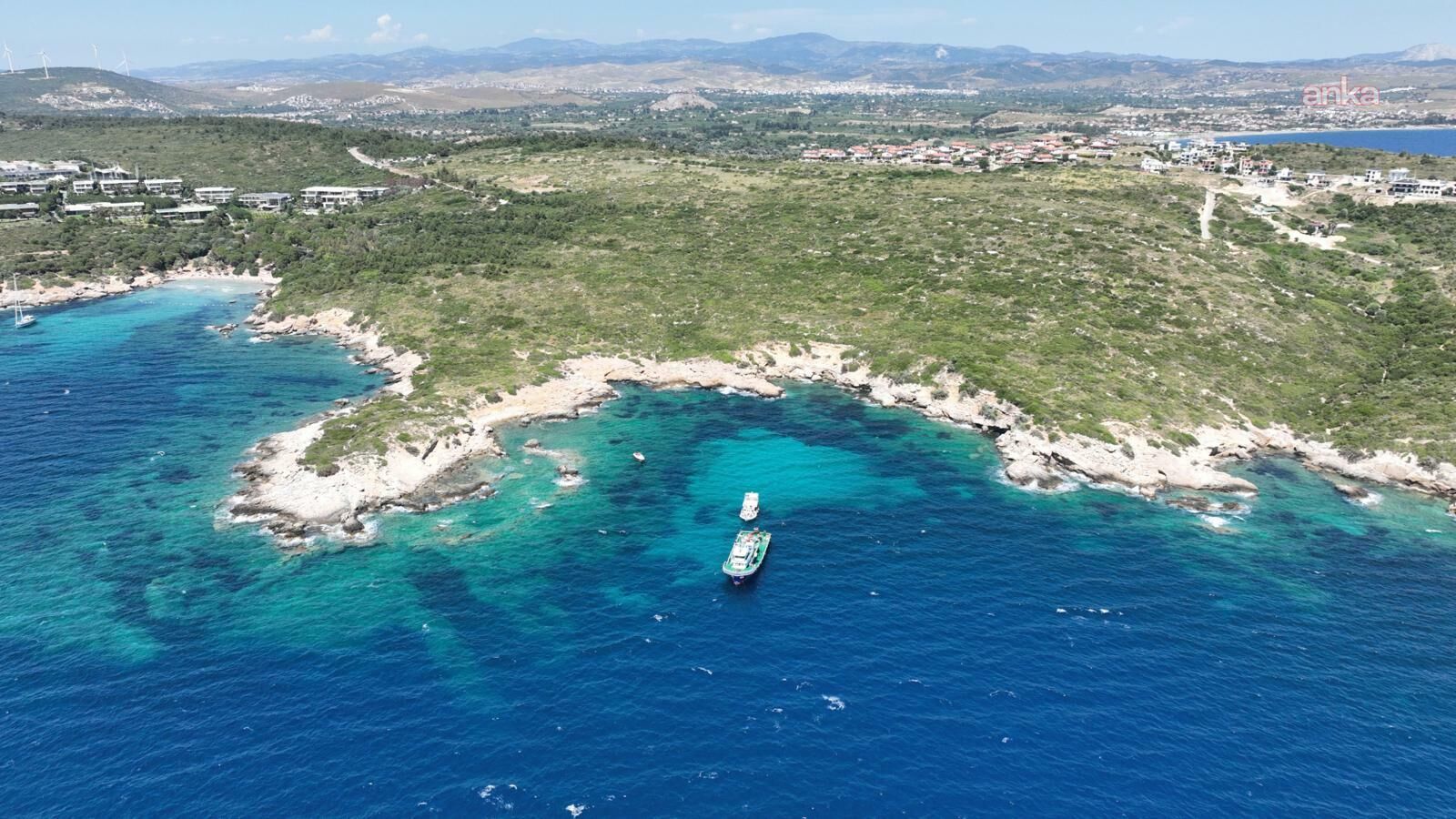 Çöpten resife… İzmir’de midye kabukları deniz yaşamına nefes oldu-2
