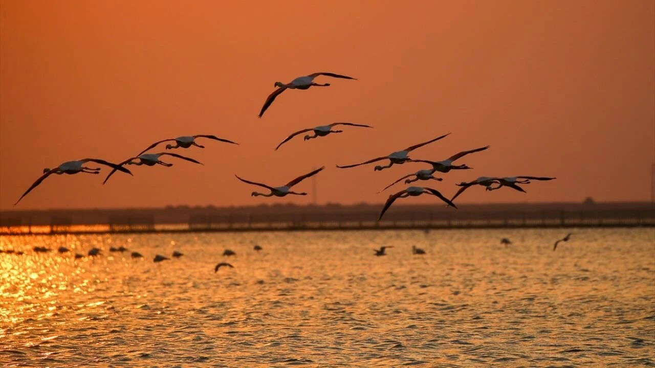 Bu yaz İzmir’de ne yapılır? Tatilinizi unutulmaz kılacak en iyi 8 rota