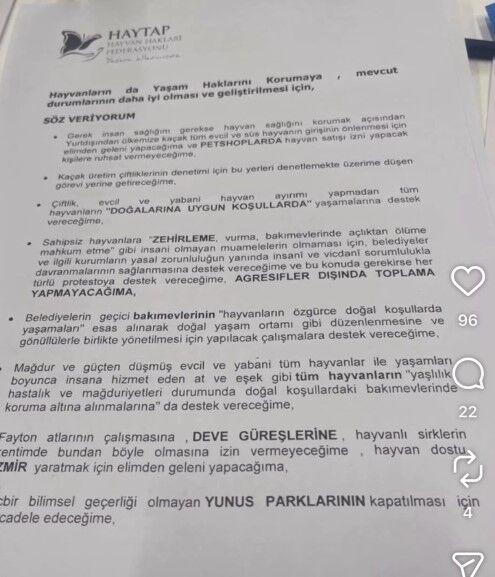 Ekran Görüntüsü 2026 07 11 132810