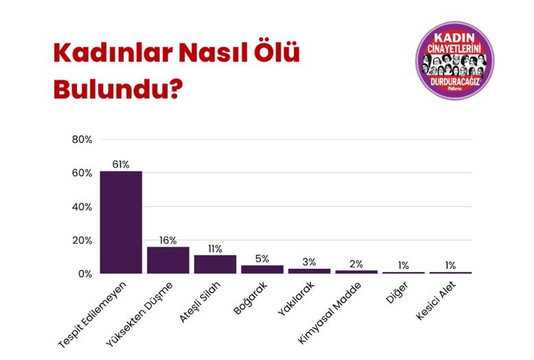 KCDP verileri ortaya koydu: Kadınlar en çok evlerinde öldürüldü!-4