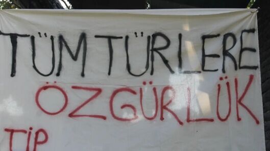 TİP İzmir'den Kültürpark'ta vegan pikniği… ‘Sömürüye karşı yaşamı savunuyoruz’-1