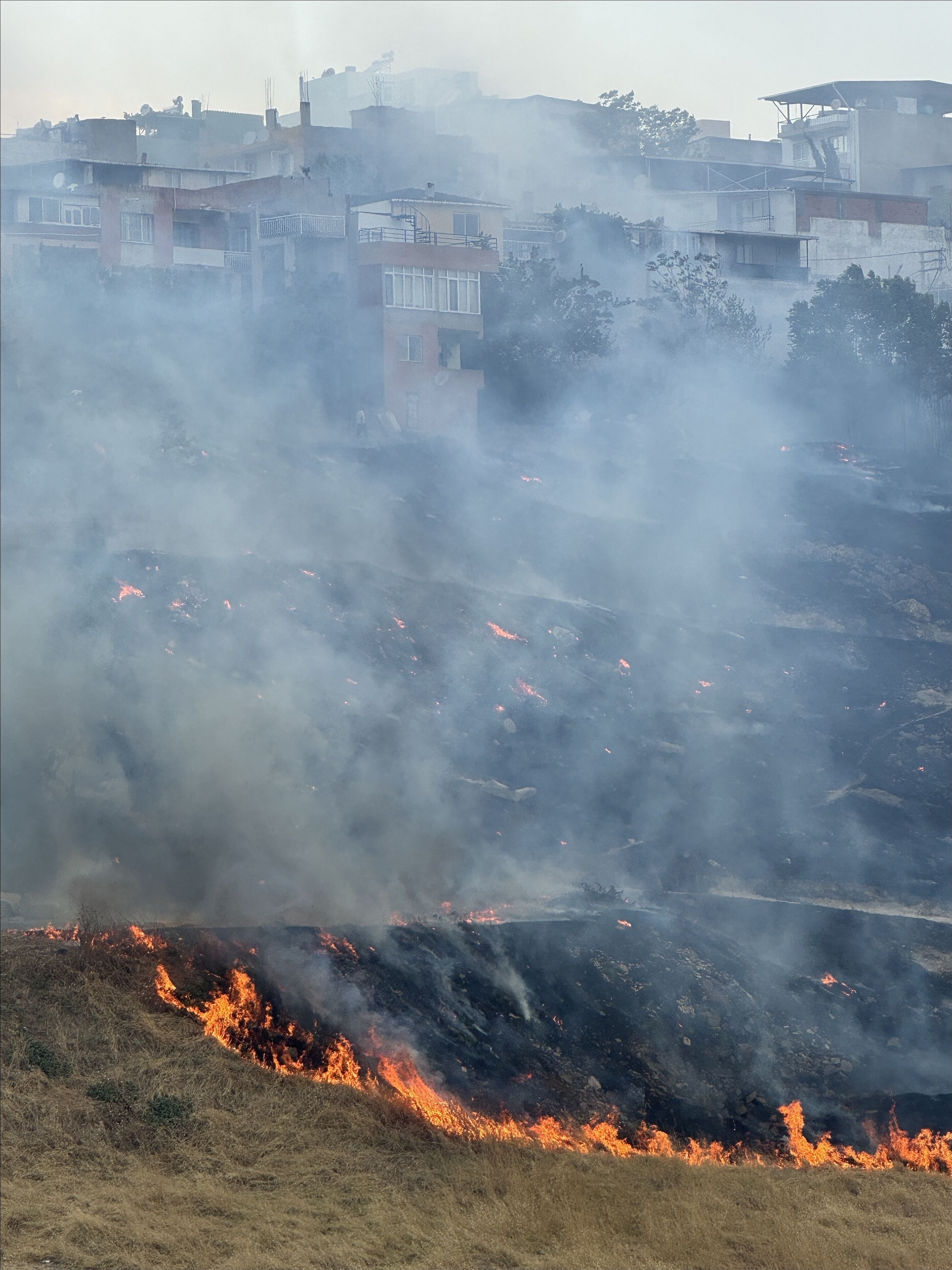 Izmir Karşıyaka Yangın (3)