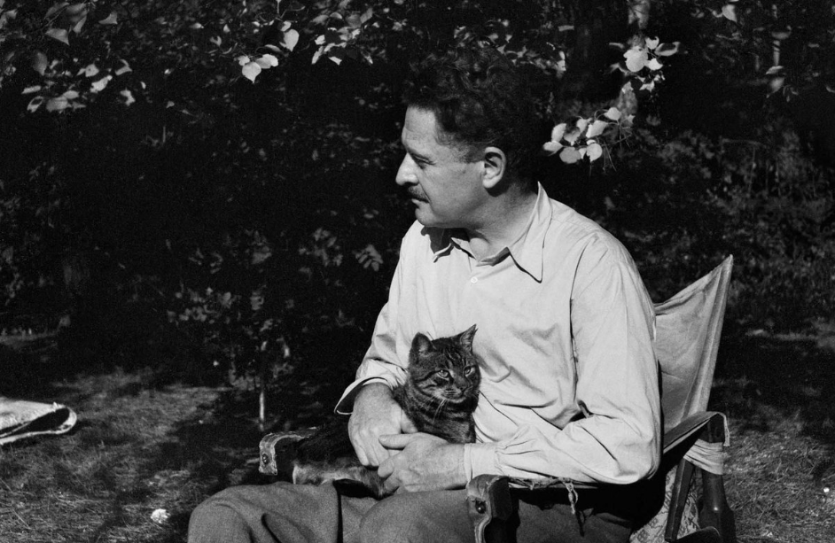 Nazım Hikmet (1)