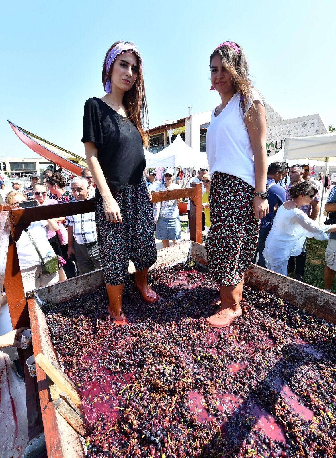 Urla’da 2600 yıllık gelenek: Bağbozumu Şenlikleri başlıyor