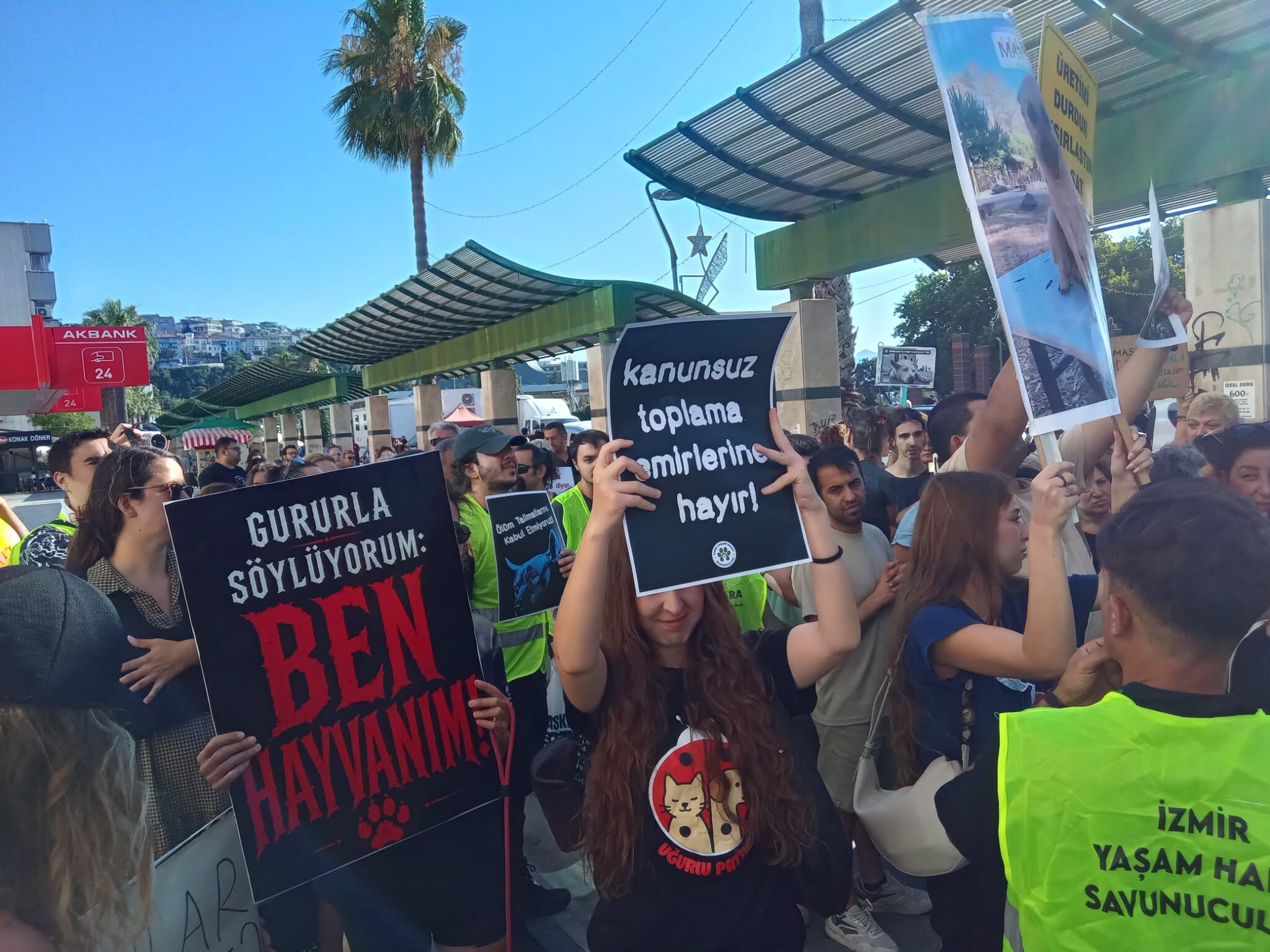 Foça'da yaşam nöbeti: Hayvanseverlerden gece toplamalarına tepki 