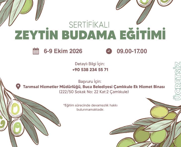 Buca’da üreticiye zeytin budama desteği