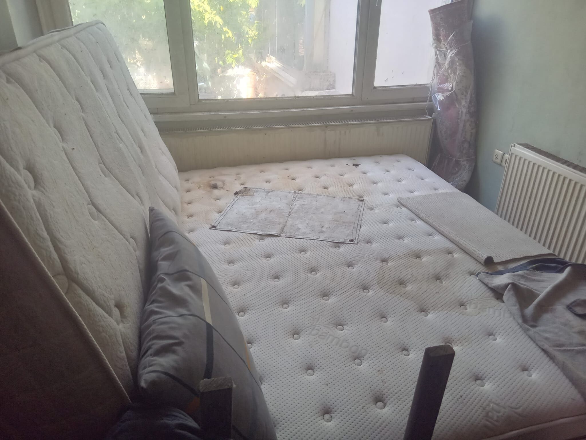 Kedileri için evlerini bırakmıyorlar: Bizi burada ölüme terk etmiş gibiler!