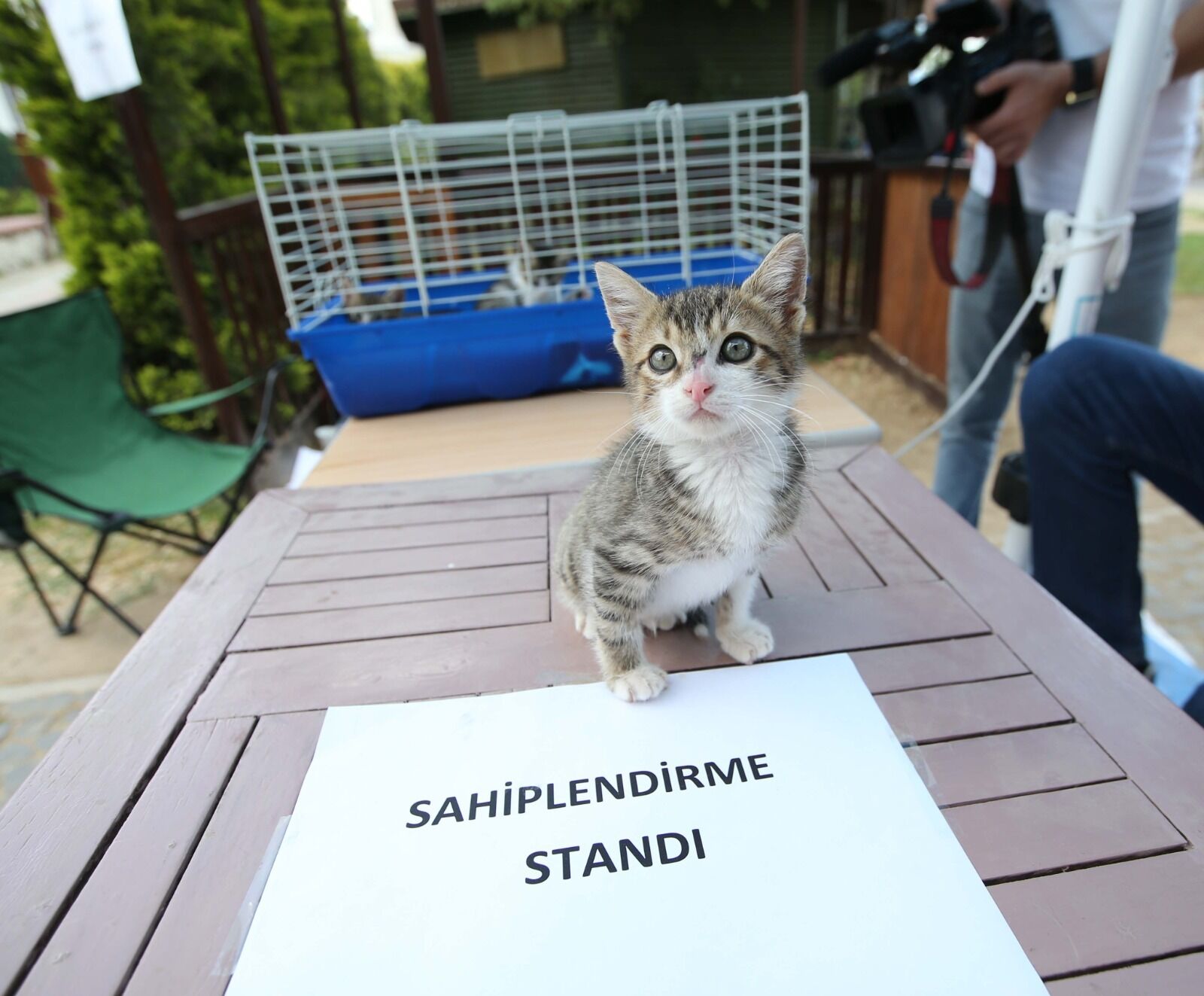 Karşıyaka’da sahiplendirme seferberliği-1