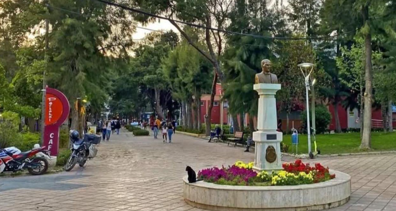 Bornova-33