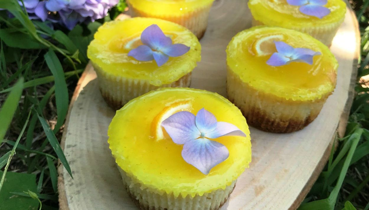 Çay saatlerinde, davetlerde… Porsiyonluk limonlu cheesecake evde nasıl yapılır?-1