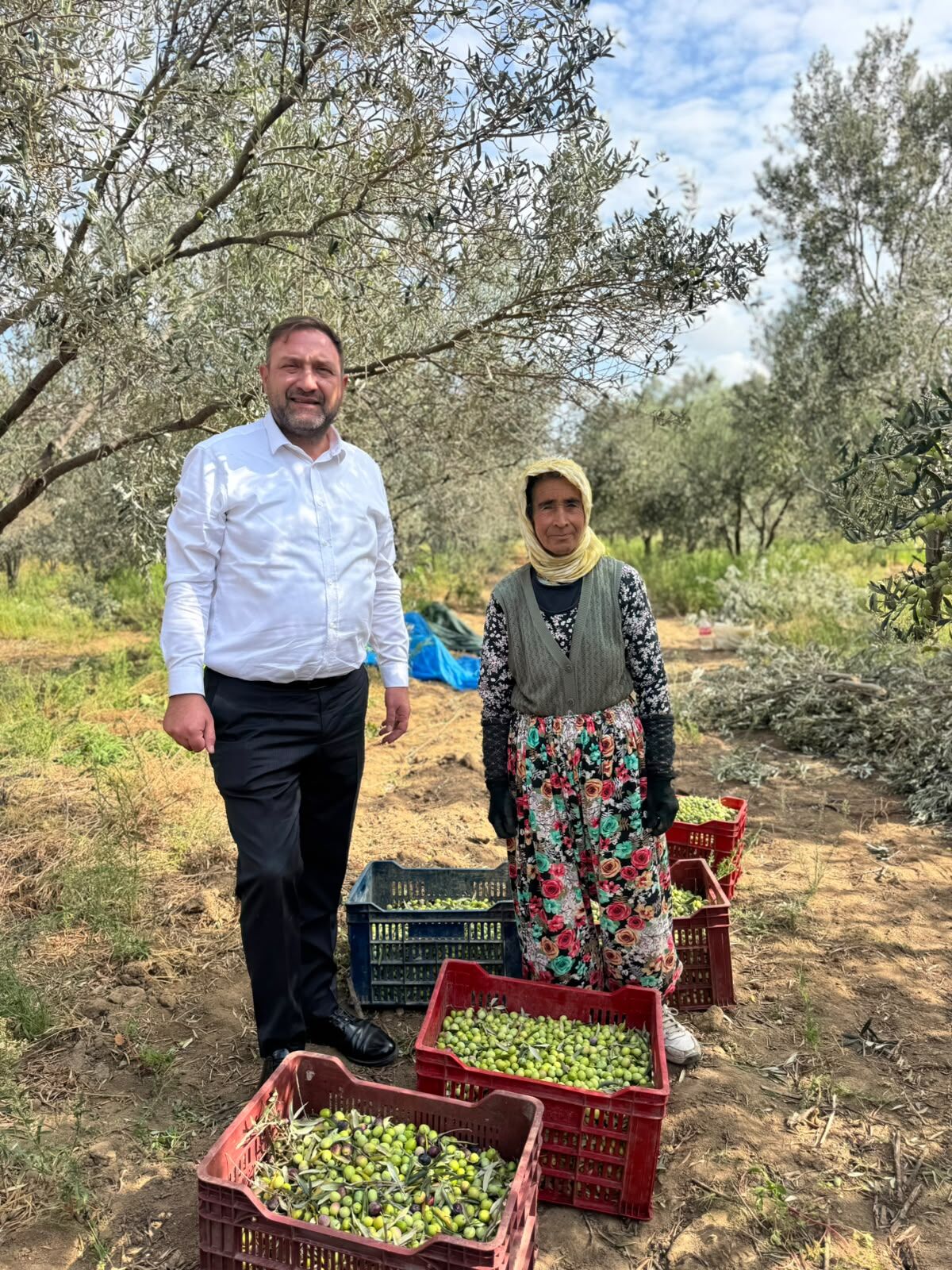 Utku Gümrükçü zeytin üreticileriyle buluştu: Pek çok ürün dalda kalabilir!