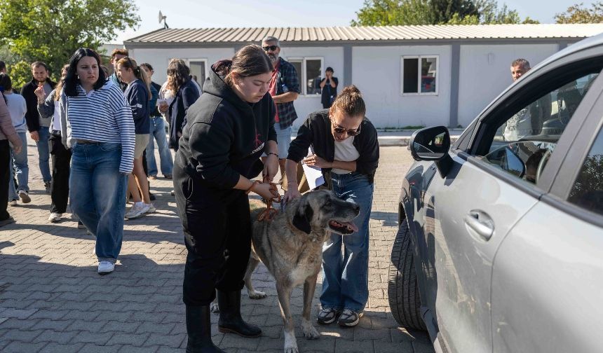 Bornova’da can dostlar yeni yuvalarına kavuştu