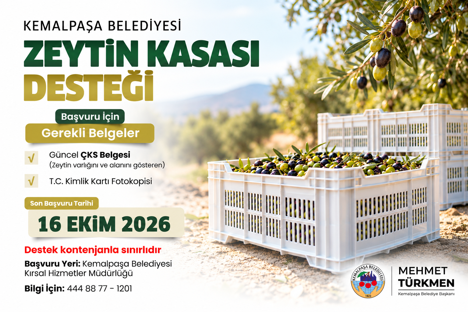 Zeytin Kasası Desteği Duyurusu